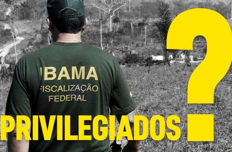 Capa da Notícia